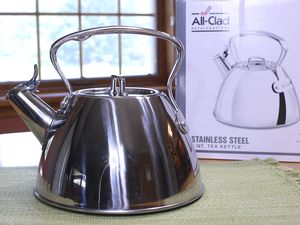 All-Clad Stainless Steel Review
