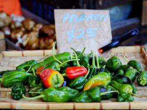 A Slow Food Farmers Market stall selling Padrón peppers