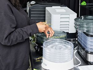 Person placing herbs in Elite Gourmet EFD319 Food Dehydrator for testing, next to additional food dehydrators being tested